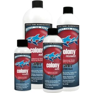ATM Colony Marine