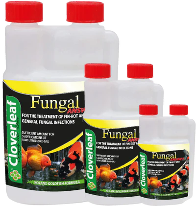Cloverleaf Fungal Answer 500ml
