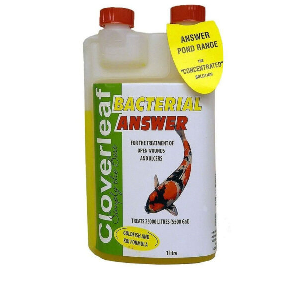 Cloverleaf Bacterial Answer 1ltr